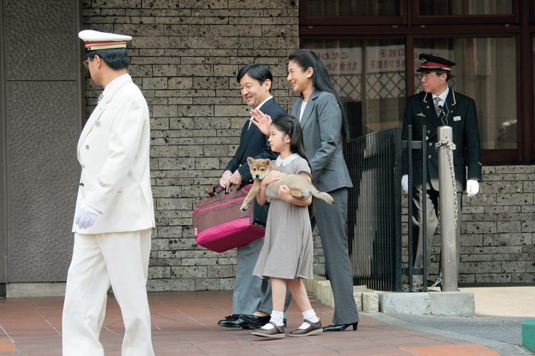 いつもそばにいた愛犬・由莉（2009年5月、撮影／JMPA）