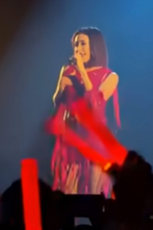 日本のイベントの中止が余儀なくされる事態となっている（Bilibiliより）