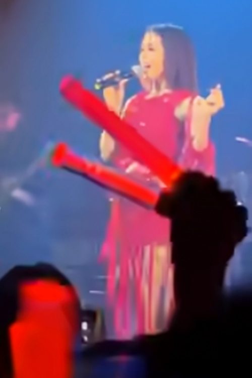 満員の観客の前でパフォーマンスを成功させた（Bilibiliより）