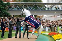 引退後も人気は高く、東京競馬場の一般公開には多くのファンが詰めかけた（2008年11月）