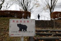 行き過ぎたクマ出没報道に警鐘を鳴らすネットニュース編集者の分析　「数字が取れるからといって、必要以上に煽って地元に経済的打撃を与えていないか？」