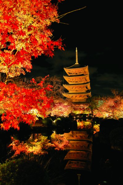 京都の写真家が厳選 今年見るべき京都絶景紅葉スポット Newsポストセブン Part 4
