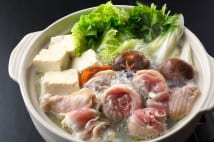 今年は値頃の白菜 鍋どころの関西圏での消費が群を抜く