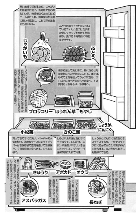 じゃがいも アスパラ 長ねぎ 野菜の正しい保存法は Newsポストセブン