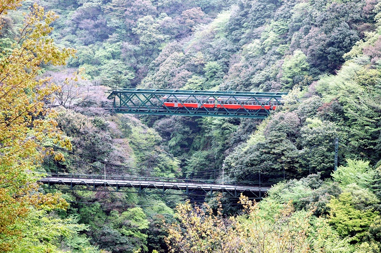 早川橋梁を走る箱根登山鉄道