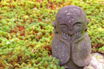 「お地蔵男子」を求める20代パワフル女子を応援するには?