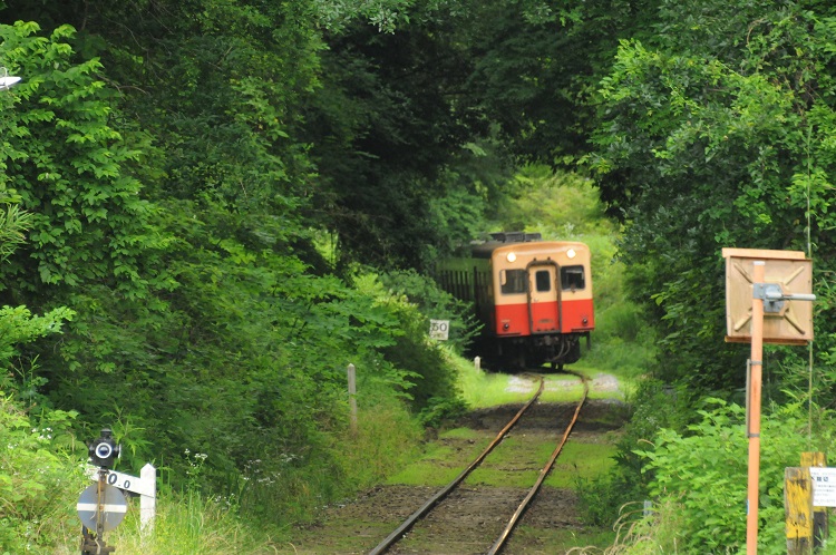 小湊鉄道の沿線は里山風景があちこちで見られる
