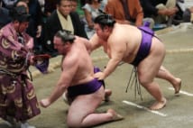 秋場所11日目、栃ノ心(左)を送り出しで破った貴景勝(写真:時事通信フォト)