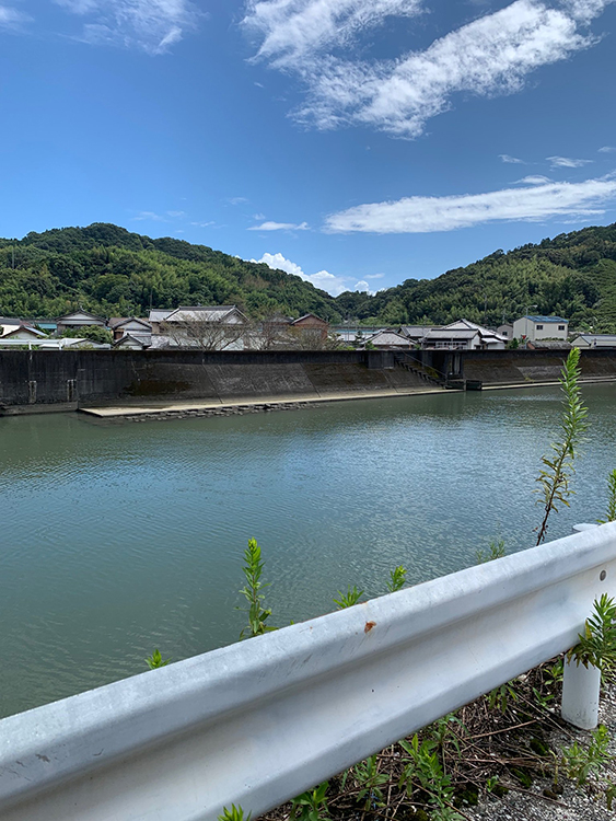 現場となった下田川。深いところで水深は135cm程度だという