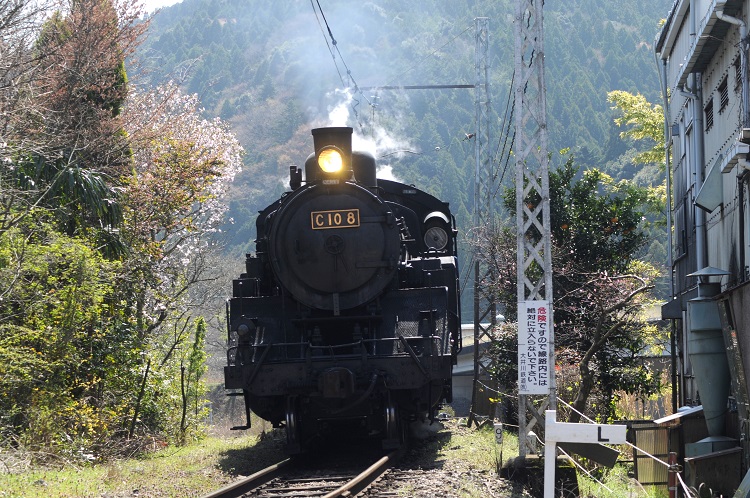 SL運行で人気を集める大井川鉄道は、トーマス列車や星空列車の運行で新たな需要の掘り起こしを目指す