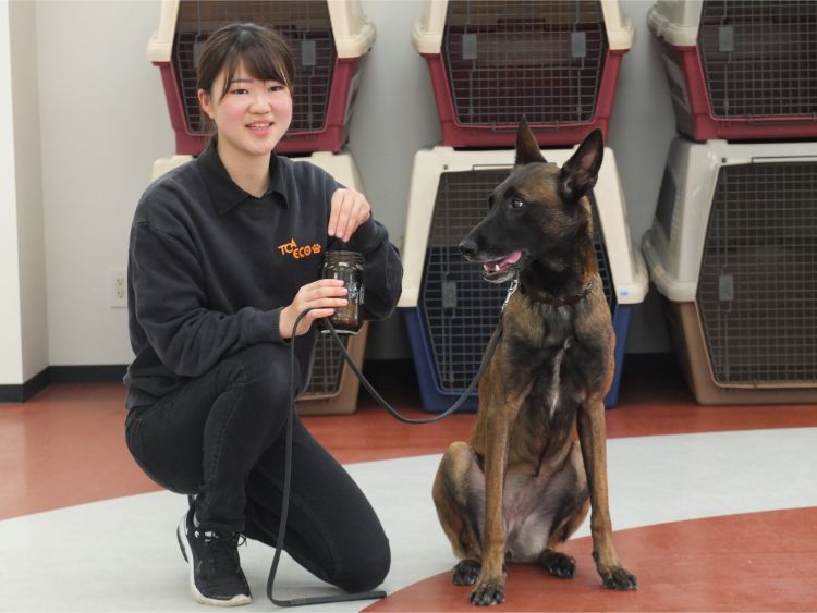 Is指導者を追い詰めた軍用犬 希少な同型犬に会ってきた Newsポストセブン Part 2