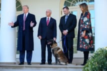 ホワイトハウスに招かれた英雄犬コナン(CNP/時事通信フォト)