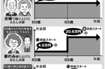 年金改正 妻の働き方とライフスタイルで変わる受給パターン