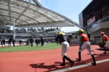 若駒の将来を占う一戦(阪神競馬場のパドック)