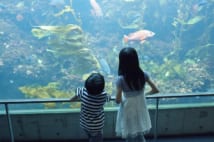 甥や姪を溺愛しすぎた40代独身女性、兄の逆鱗に触れ老後不安に
