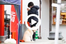 【動画】滝川クリステル 男児誕生! 出産直前、神社で手を合わせる姿